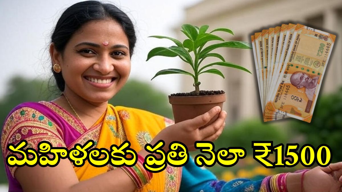 Aadabidda Nidhi scheme Key statement From Minister Kondapalli Srinivas Aadabidda Nidhi scheme Key statement From Minister Kondapalli Srinivas
