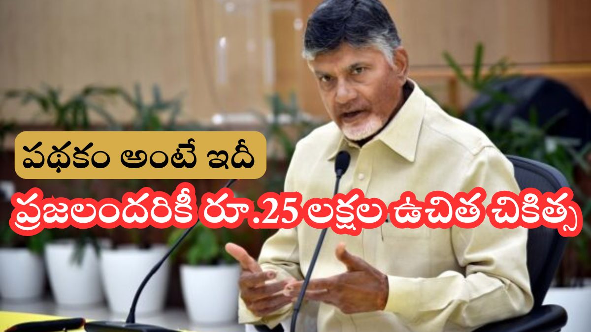 AP Universal Health Policy 2025