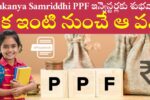 Sukanya Samriddhi PPF ePassbook Feature Online Check