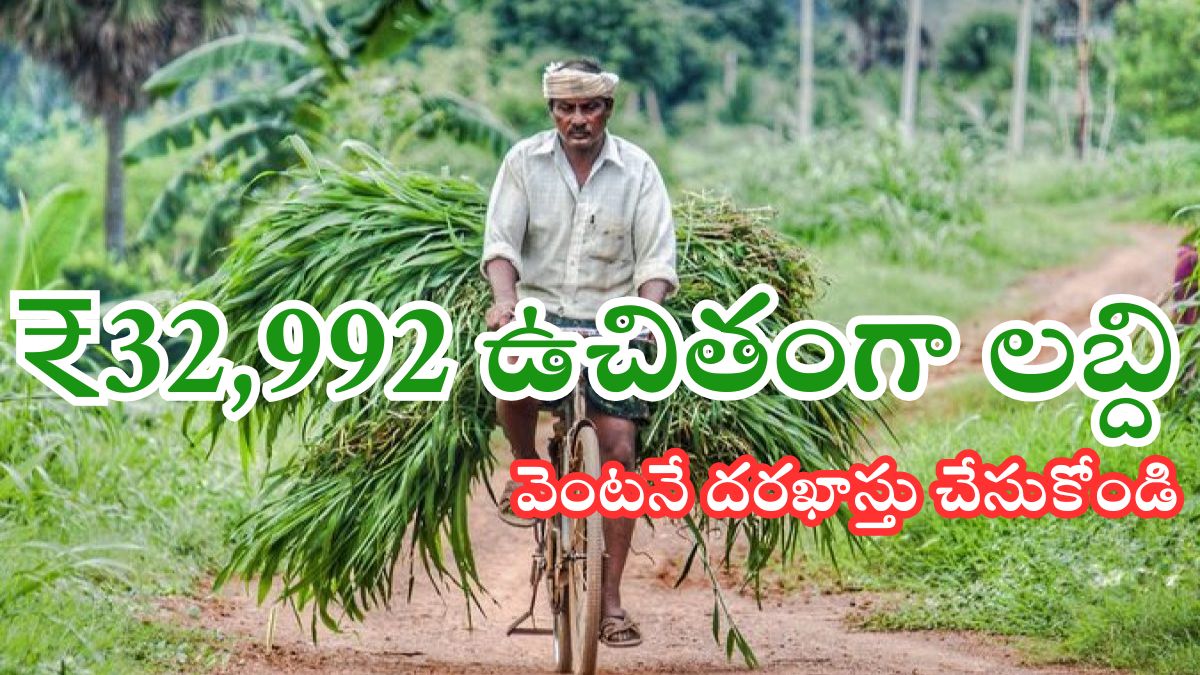AP Pasugrasam 100 Percent Subsidy Scheme