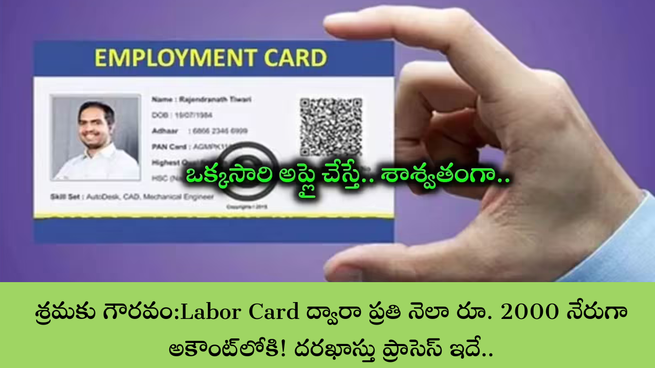 Labor Card