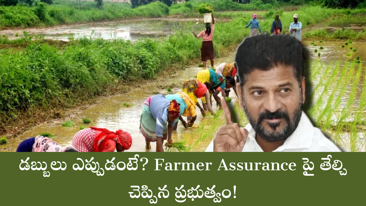Farmer Assurance